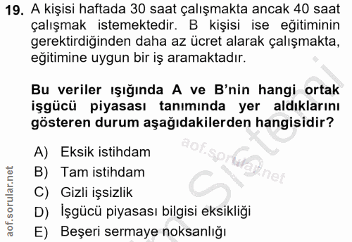 19. soru: A kişisi haftada 30 saat çalışmakta ancak 40 saat çalışmak istemektedir. B kişisi ise eğitiminin gerektirdiğinden dah…