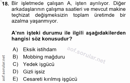 18. soru: Bir işletmede çalışan A, işten ayrılıyor. Diğer arkadaşlarının çalışma saatleri ve mevcut makine teçhizat değişmeksiz…