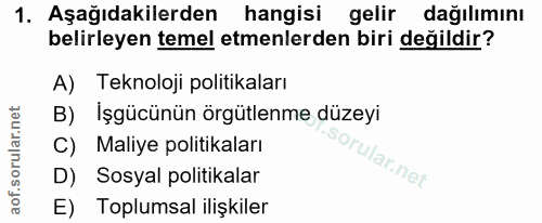 1. soru: Aşağıdakilerden hangisi gelir dağılımını belirleyen temel etmenlerden biri değildir? A) Teknoloji politikaları B) İşg…