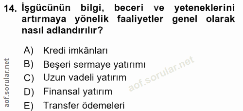 14. soru: İşgücünün bilgi, beceri ve yeteneklerini artırmaya yönelik faaliyetler genel olarak nasıl adlandırılır? A) Kredi imkâ…