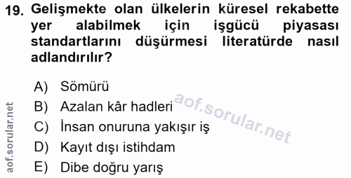 19. soru: Gelişmekte olan ülkelerin küresel rekabette yer alabilmek için işgücü piyasası standartlarını düşürmesi literatürde n…