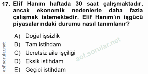 17. soru: Elif Hanim haftada 30 saat çalışmaktadır, ancak ekonomik nedenlerle daha fazla çalışmak istemektedir. Elif Hanım'ın i…