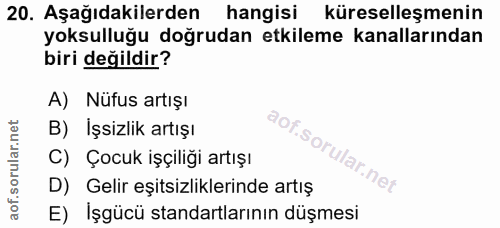 20. soru: Aşağıdakilerden hangisi küreselleşmenin yoksulluğu doğrudan etkileme kanallarından biri değildir? A) Nüfus artışı B)…