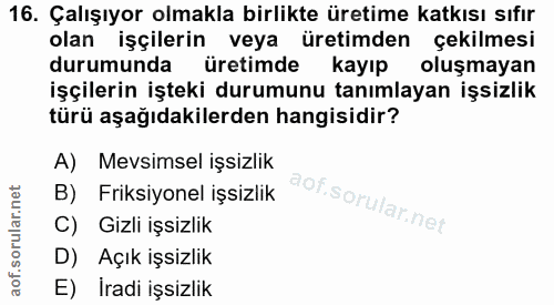 16. soru: Çalışıyor olmakla birlikte üretime katkısı sıfır olan işçilerin veya üretimden çekilmesi durumunda üretimde kayıp olu…