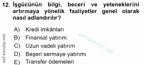 12. soru: Işgücünün bilgi, beceri ve yeteneklerini artırmaya yönelik faaliyetler genel olarak nasıl adlandırılır? A) Kredi imkâ…