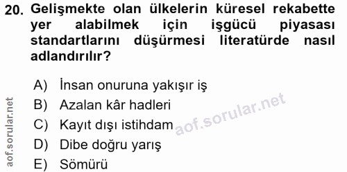 20. soru: Gelişmekte olan ülkelerin küresel rekabette yer alabilmek için işgücü piyasası standartlarını düşürmesi literatürde n…