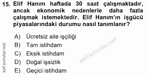 15. soru: Elif Hanım haftada 30 saat çalışmaktadır, ancak ekonomik nedenlerle daha fazla çalışmak istemektedir. Elif Hanım'ın i…
