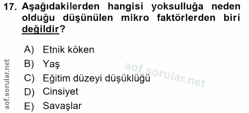 17. soru: Aşağıdakilerden hangisi yoksulluğa neden olduğu düşünülen mikro faktörlerden biri değildir? A) Etnik köken B) Yaş C)…