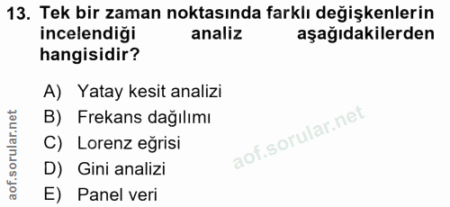 13. soru: Tek bir zaman noktasında farklı değişkenlerin incelendiği analiz aşağıdakilerden hangisidir? A) Yatay kesit analizi B…