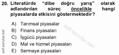 20. soru: Literatürde "dibe doğru yarış" olarak adlandırılan süreç oncelikle hangi piyasalarda etkisini göstermektedir? A) Tarı…