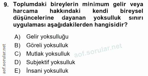 9. soru: Toplumdaki bireylerin minimum gelir veya harcama hakkındaki kendi bireysel düşüncelerine dayanan yoksulluk sınırı uyg…
