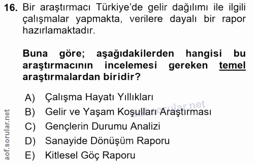 16. soru: Bir araştırmacı Türkiye'de gelir dağılımı ile ilgili çalışmalar yapmakta, verilere dayalı bir rapor hazırlamaktadır.…