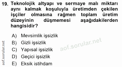 19. soru: Teknolojik altyapı ve sermaye malı miktarı aynı kalmak koşuluyla üretimden çekilen işçiler olmasına rağmen toplam üre…
