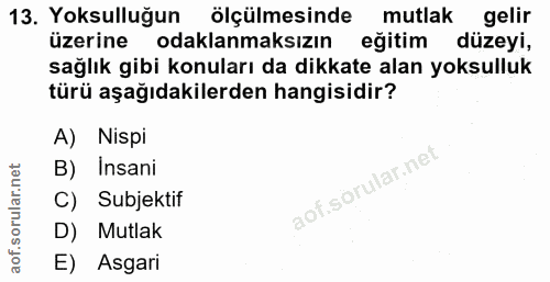 13. soru: Yoksulluğun ölçülmesinde mutlak gelir üzerine odaklanmaksızın eğitim düzeyi, sağlık gibi konuları da dikkate alan yok…