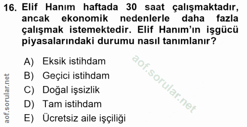 16. soru: Elif Hanım haftada 30 saat çalışmaktadır, ancak ekonomik nedenlerle daha fazla çalışmak istemektedir. Elif Hanım'ın i…