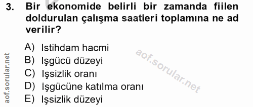 3. soru: Bir ekonomide belirli bir zamanda fiilen doldurulan çalışma saatleri toplamına ne ad verilir? A) Istihdam hacmi B) Iş…