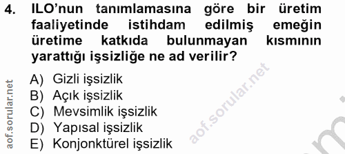 4. soru: ILO'nun tanımlamasına göre bir üretim faaliyetinde istihdam edilmiş emeğin üretime katkıda bulunmayan kısmının yaratt…