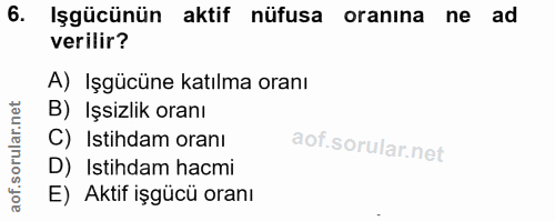 6. soru: Işgücünün aktif nüfusa oranına ne ad verilir? A) Işgücüne katılma oranı B) Işsizlik oranı C) Istihdam oranı D) Istihd…