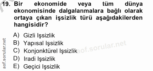 19. soru: Bir ekonomide veya tum dünya ekonomisinde dalgalanmalara bağlı olarak ortaya çıkan işsizlik türü aşağıdakilerden hang…