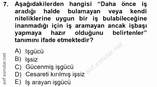 7. soru: Aşağıdakilerden hangisi "Daha önce iş aradığı halde bulamayan veya kendi niteliklerine uygun bir iş bulabileceğine in…