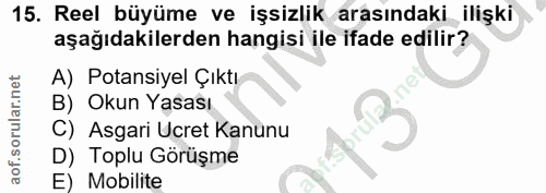 15. soru: Reel büyüme ve işsizlik arasındaki ilişki aşağıdakilerden hangisi ile ifade edilir? A) Potansiyel Çıktı B) Okun Yasas…