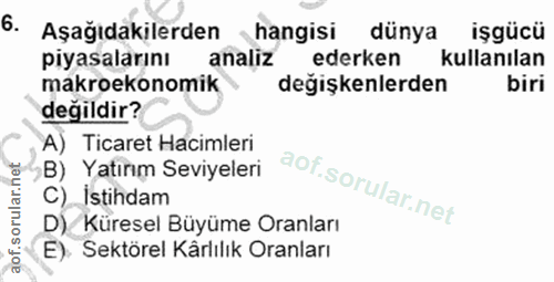 6. soru: Aşağıdakilerden hangisi dünya işgücü piyasalarını analiz ederken kullanılan makroekonomik değişkenlerden biri değildi…