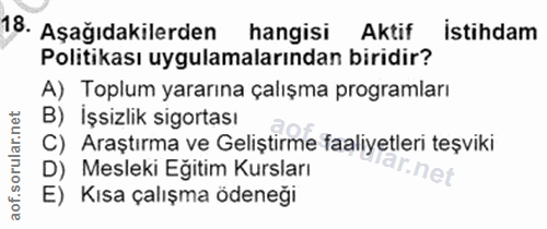 18. soru: Aşağıdakilerden hangisi Aktif İstihdam Politikası uygulamalarından biridir? A) Toplum yararına çalışma programları B)…