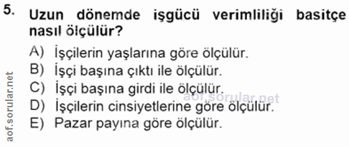 5. soru: Uzun dönemde işgücü verimliliği basitçe nasıl ölçülür? A) İşçilerin yaşlarına göre ölçülür. B) İşçi başına çıktı ile…