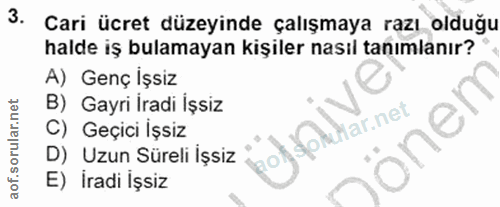 3. soru: Cari ücret düzeyinde çalışmaya razı olduğu halde iş bulamayan kişiler nasıl tanımlanır? A) Genç İşsiz B) Gayri İradi…
