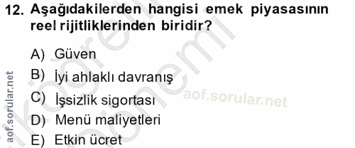 12. soru: Aşağıdakilerden hangisi emek piyasasının reel rijitliklerinden biridir? A) Güven B)_iyi ahlaklı davranış C) İşsizlik…
