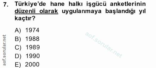 7. soru: Türkiye'de hane halkı işgücü anketlerinin düzenli olarak uygulanmaya başlandığı yıl kaçtır? A) 1974 B) 1988 C) 1989 D…