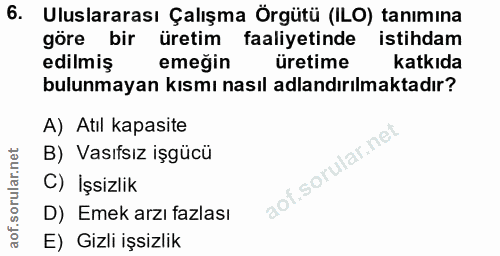 6. soru: Uluslararası Çalışma Örgütü (ILO) tanımına göre bir üretim faaliyetinde istihdam edilmiş emeğin üretime katkıda bulun…
