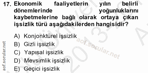17. soru: Ekonomik faaliyetlerin yılın belirli dönemlerinde yoğunluklarını kaybetmelerine bağlı olarak ortaya çıkan işsizlik tü…