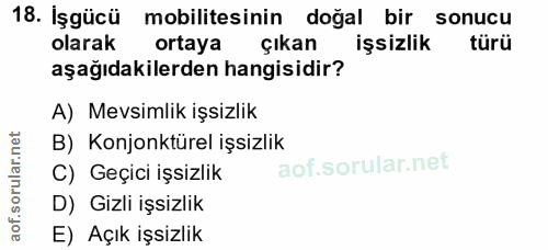 18. soru: İşgücü mobilitesinin doğal bir sonucu olarak ortaya çıkan işsizlik türü aşağıdakilerden hangisidir? A) Mevsimlik işsi…
