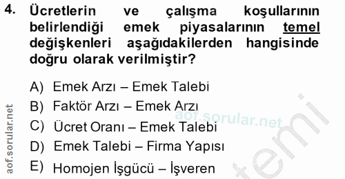 4. soru: Ücretlerin ve çalışma koşullarının belirlendiği emek piyasalarının temel değişkenleri aşağıdakilerden hangisinde doğr…