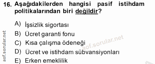 16. soru: Aşağıdakilerden hangisi pasif istihdam politikalarından biri değildir? A) İşsizlik sigortası B) Ücret garanti fonu C)…