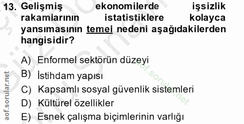 13. soru: Gelişmiş ekonomilerde işsizlik rakamlarının istatistiklere kolayca yansımasının temel nedeni aşağıdakilerden hangisid…
