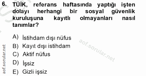 6. soru: TÜİK, referans haftasında yaptığı işten dolayı herhangi bir sosyal güvenlik kuruluşuna kayıtlı olmayanları nasil tanı…
