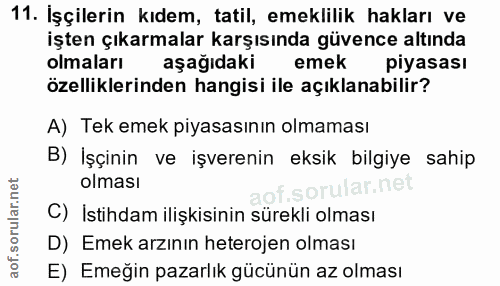 11. soru: İşçilerin kıdem, tatil, emeklilik hakları ve işten çıkarmalar karşısında güvence altında olmaları aşağıdaki emek piya…