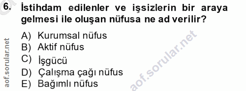 6. soru: İstihdam edilenler ve işsizlerin bir araya gelmesi ile oluşan nüfusa ne ad verilir? A) Kurumsal nüfus B) Aktif nüfus…