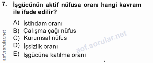 7. soru: İşgücünün aktif nüfusa oranı hangi kavram ile ifade edilir? A) İstihdam oranı B) Çalışma çağı nüfus C) Kurumsal nüfus…