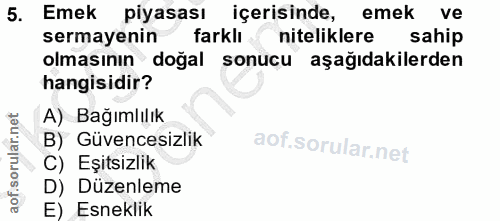 5. soru: Emek piyasası içerisinde, emek ve sermayenin farklı niteliklere sahip olmasının doğal sonucu aşağıdakilerden hangisid…