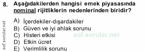 8. soru: Aşağıdakilerden hangisi emek piyasasında nominal rijitliklerin nedenlerinden biridir? A) İçerdekiler-dışardakiler B)…