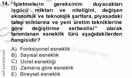 14. soru: "İşletmelerin gereksinim duyacakları işgücü miktarı ve niteliğini, değişen ekonomik ve teknolojik şartlara, piyasadak…