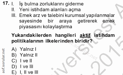17. soru: I. İş bulma zorluklarını giderme Il. Yeni istihdam alanları açma III. Emek arz ve talebini kurumsal yapılanmalar saye…