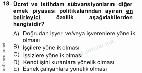 18. soru: Ücret ve istihdam sübvansiyonlarını diğer emek piyasası politikalarından ayıran en belirleyici özellik aşağıdakilerde…