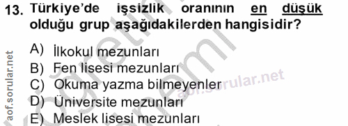 13. soru: Türkiye'de işsizlik oranının en düş ük olduğu grup aşağıdakilerden hangisidir? A) İlkokul mezunları C) Okuma yazma bi…