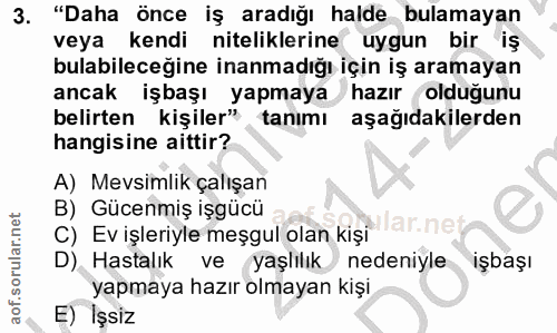 3. soru: "Daha önce iş aradığı halde bulamayan veya kendi niteliklerine uygun bir iş bulabileceğine inanmadığı için iş aramaya…