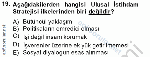19. soru: Aşağıdakilerden hangisi Ulusal İstihdam Stratejisi ilkelerinden biri değildir? A) Bütüncül yaklaşım B) Politikaların…
