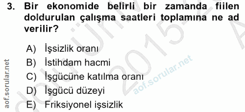3. soru: Bir ekonomide belirli bir zamanda fiilen doldurulan çalışma saatleri toplamına ne ad verilir? A) İşsizlik oranı B) Is…